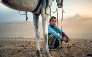 young boy horse pyramids egypt morning surise sand desert