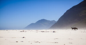 south africa beach horses noordhoek